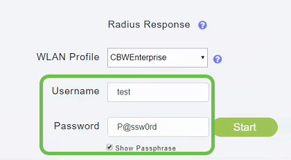 Radius screen again, depicts username and password.