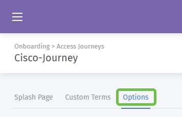 The access journey page, he menu-tab item titled Options is highlighted.