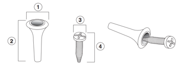 Image depicting screw placement.