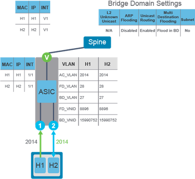 同一枝叶上的EP，EPG/BD/Encap