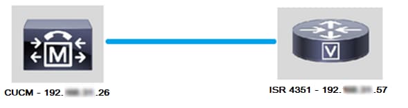 CUCM と CUBE 間の Configure Options PING - Cisco