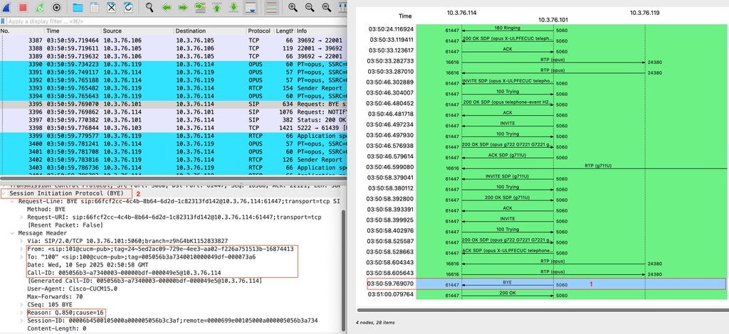 Wireshark Packet Analysis