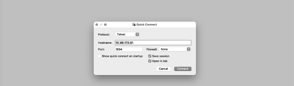 Terminal emulator accessing serial port on 9800CL VM