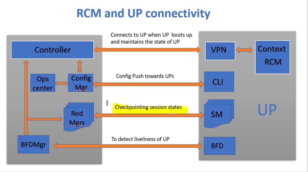 RCM 및 UP 연결