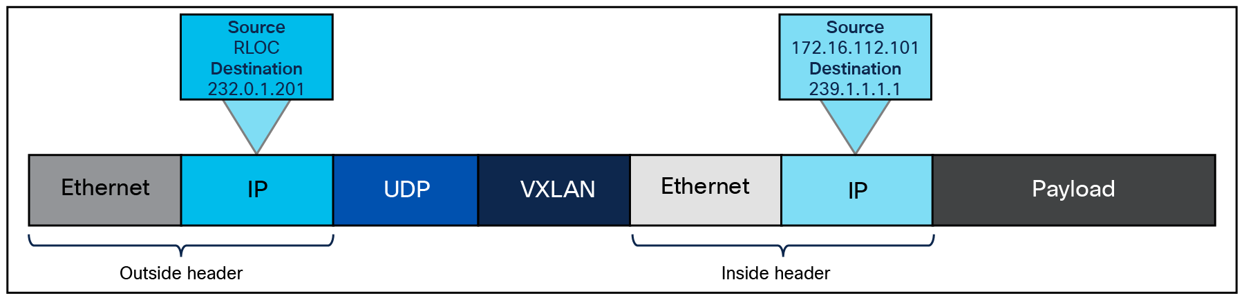 SD-Access native multicast packet