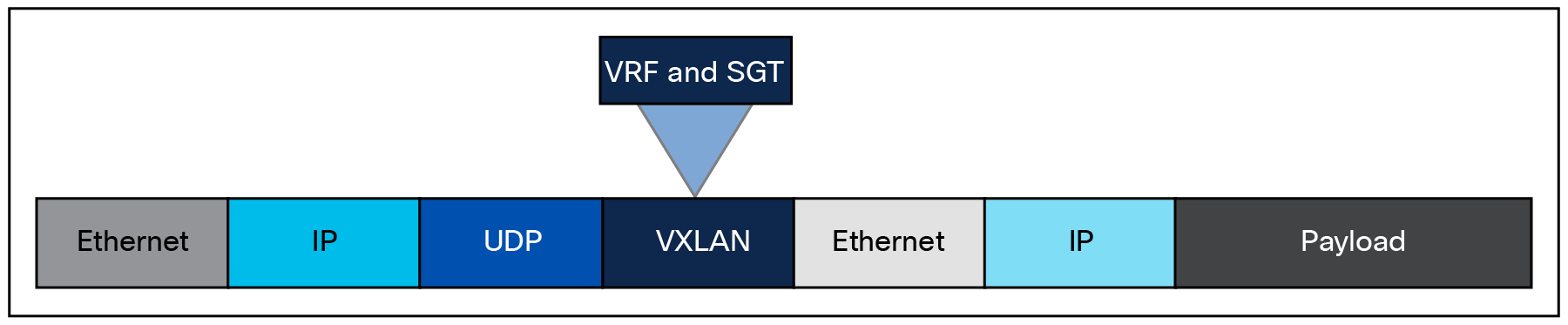 SD-Access fabric roles