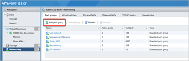 Networking > Port groups and click Add port group