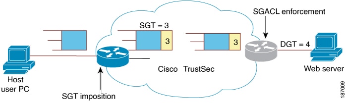 This figure shows SGT and SGACL in a Cisco TrustSec Domain.