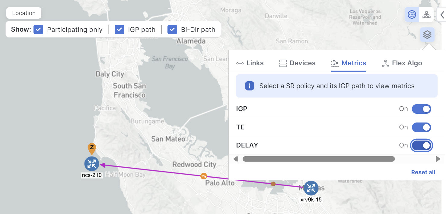 IGP Metrics