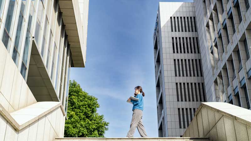 La transformación digital en el sector público