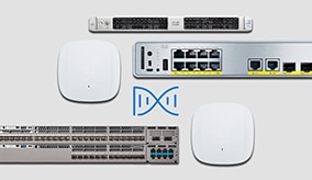 10m (33ft) Cisco QDD-400-AOC10M Compatible Câble Optique Actif 400G QSFP-DD  -  France