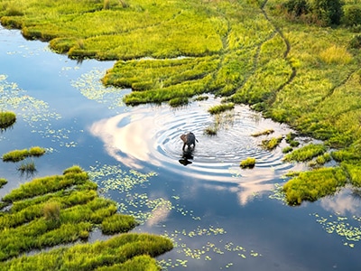 Image of a person working in wetlands