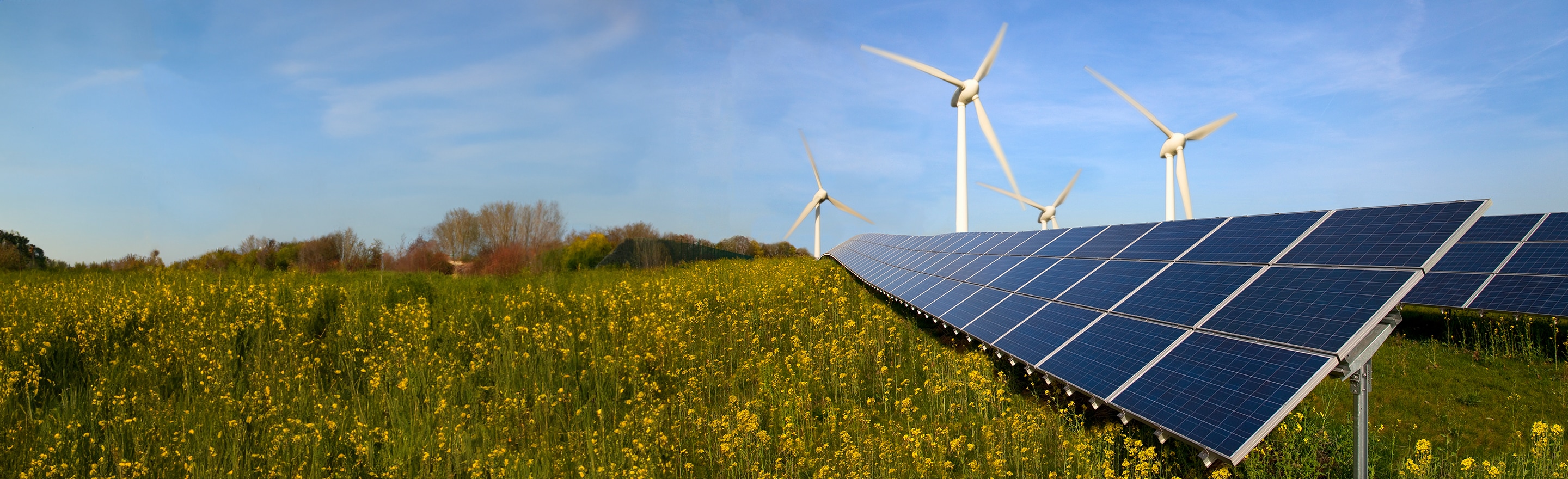 Green field with solar panels, wind turbines, and a power line overhead. 