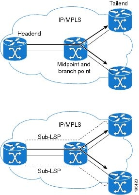 Elements of P2MP TE