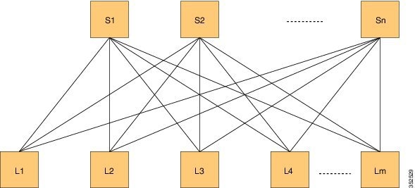 DFA Topology