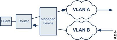 显示可能通过两个 VLAN 传输的单个连接的流量的图表。