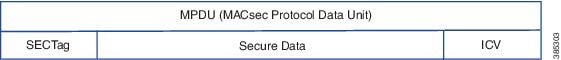 MACsec Frame Format