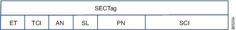 MACsec SECTag Frame Format