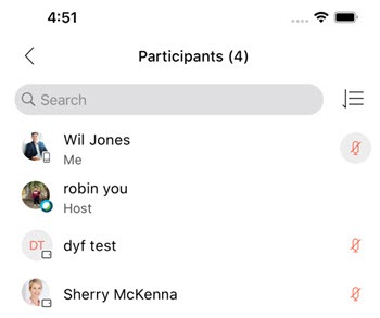 Webex Meetings mobile app (iOS) updates overview